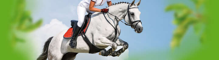 ergaenzungsfutter fuer pferde kategorieeinstiegsbanner